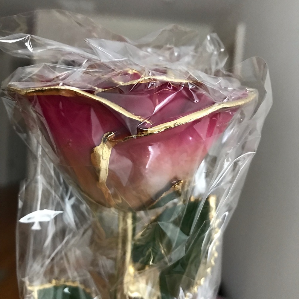 24 K gold dipped rose